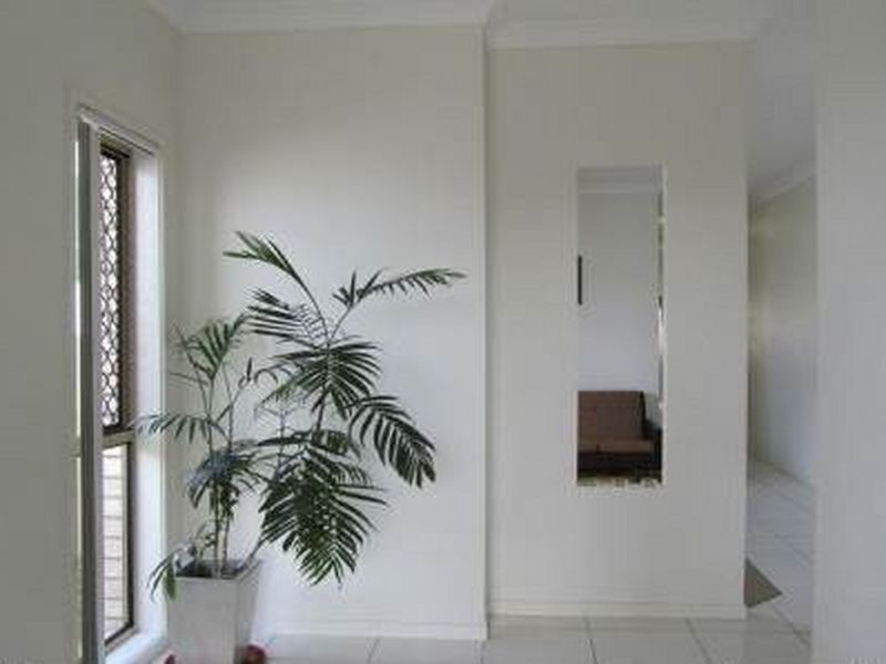 17 Myra Street, Birkdale QLD 4159