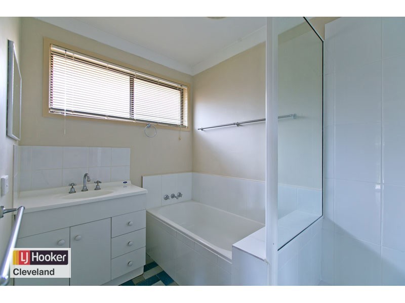 20 Langdon Street, Cleveland QLD 4163