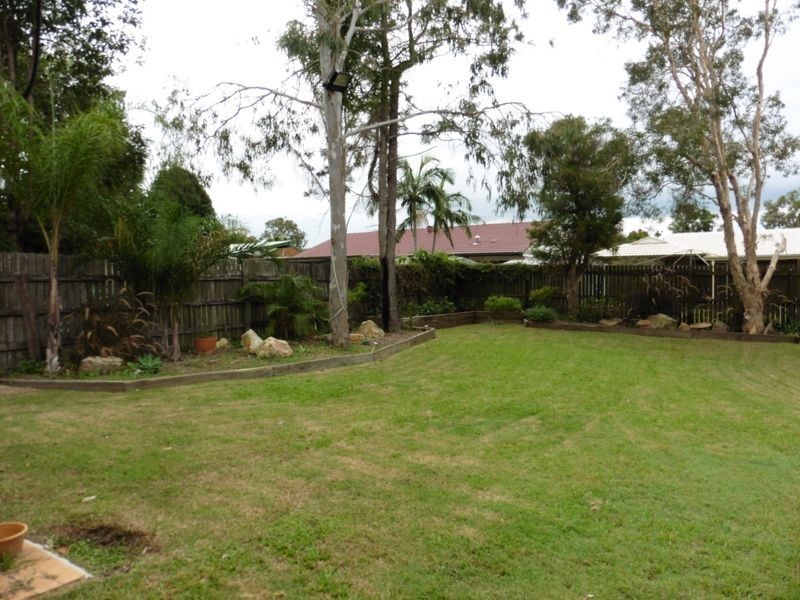 17 Eridani Court, Thornlands QLD 4164