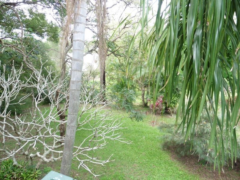 236 Queen Street, Cleveland QLD 4163