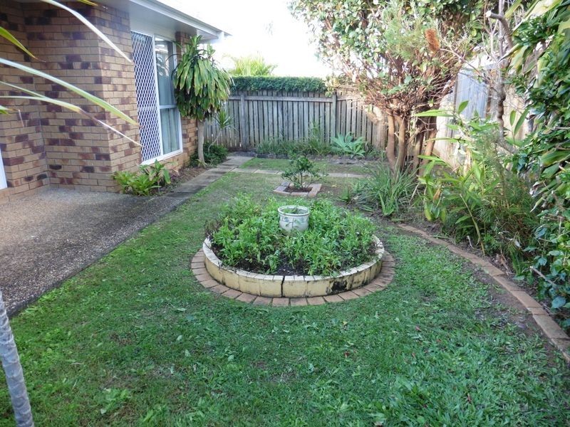 14/91 Wynyard Street, Cleveland QLD 4163