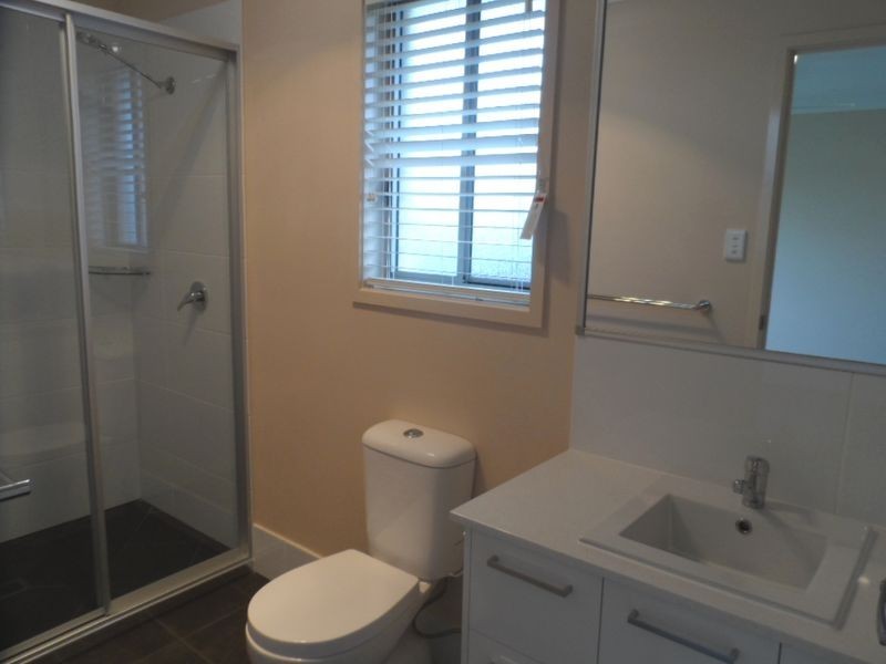 33 Cavell Street, Birkdale QLD 4159