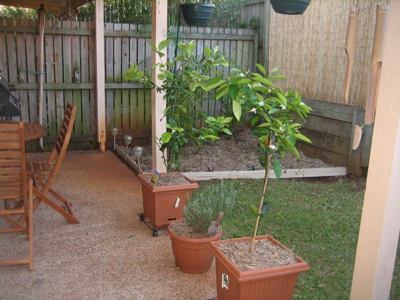 11/375 Birkdale Road, Wellington Point QLD 4160