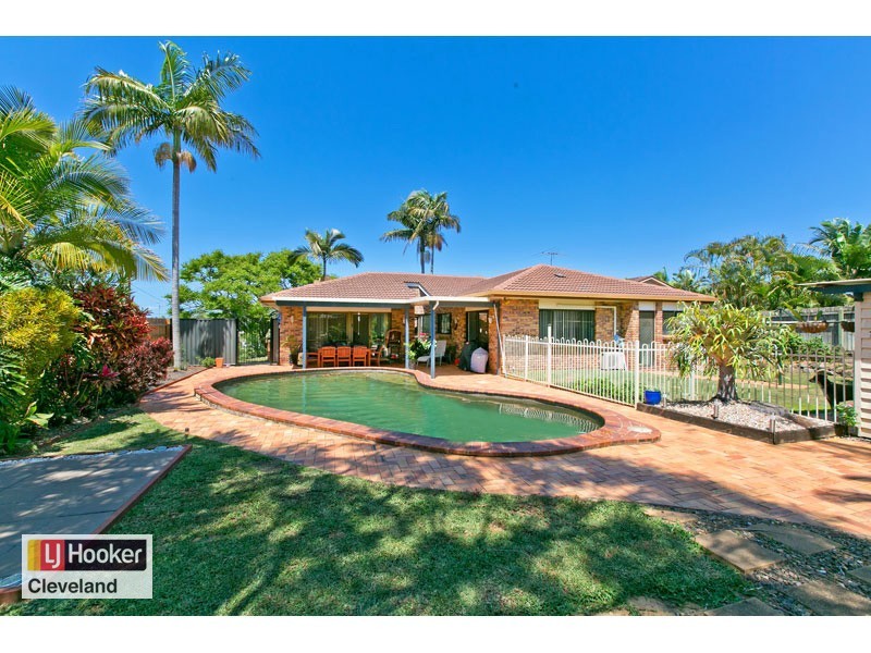 62 Long Street, Cleveland QLD 4163