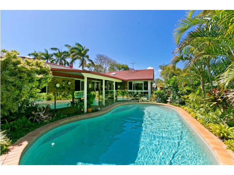 31 Jason Street, Cleveland QLD 4163