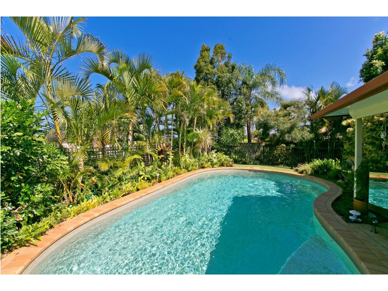 31 Jason Street, Cleveland QLD 4163