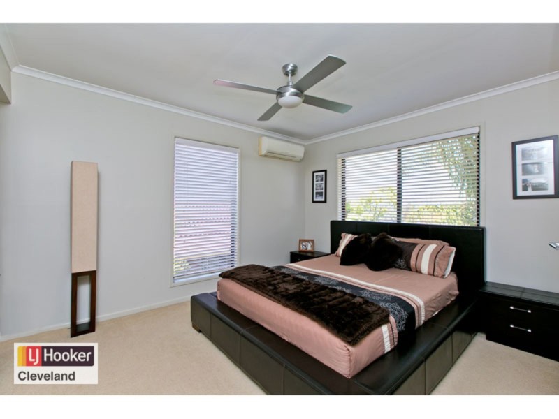 15 Dell Street, Cleveland QLD 4163