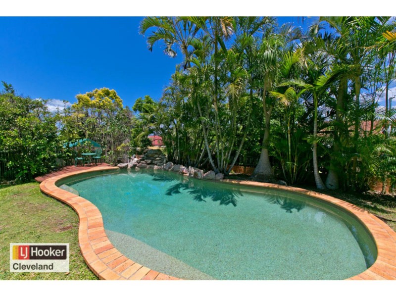 15 Dell Street, Cleveland QLD 4163