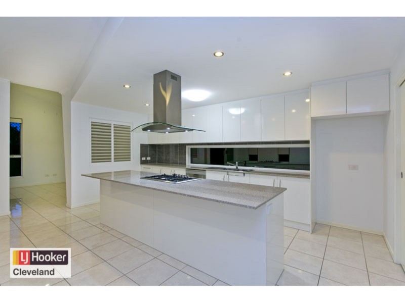 21 Princess Street, Cleveland QLD 4163