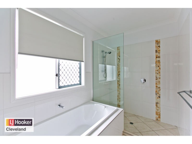 21 Princess Street, Cleveland QLD 4163