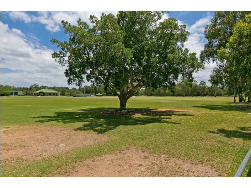 13 Kassandra Street, Cleveland QLD 4163