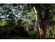 48 Muriel Street, Redland Bay QLD 4165