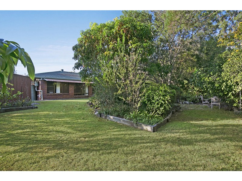 3 Benjamin Court, Cleveland QLD 4163