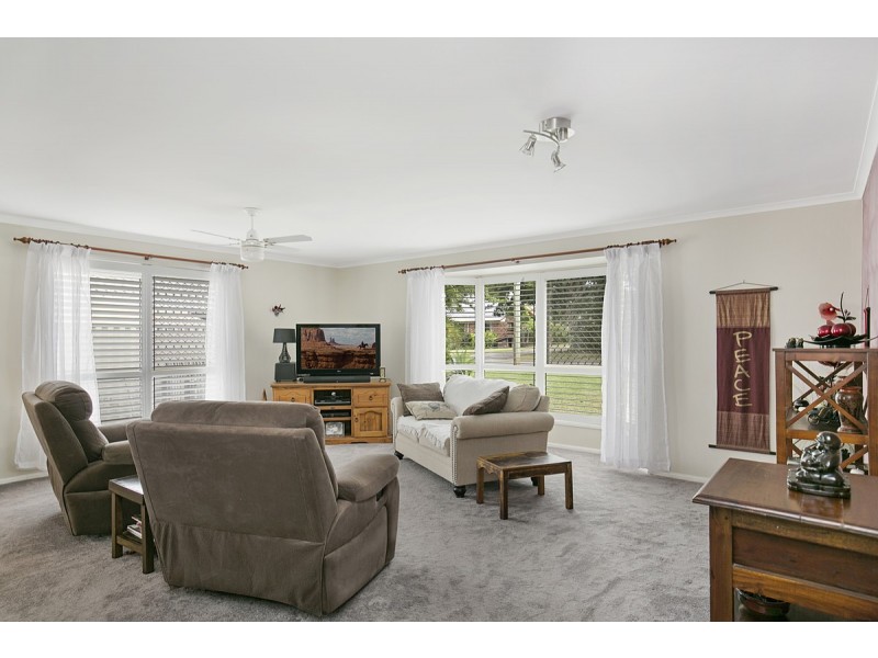 17 Mccullagh Street, Cleveland QLD 4163