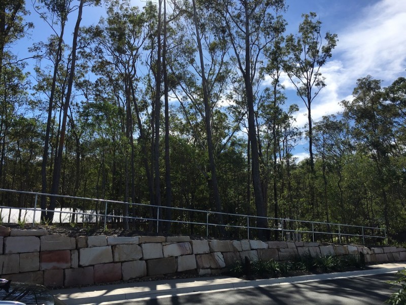 51 Sarsenet Circuit, Mount Cotton QLD 4165