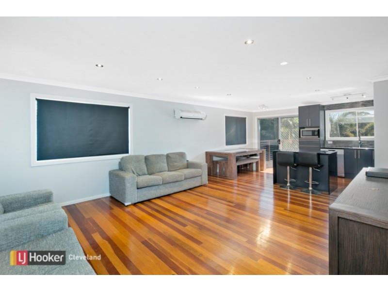 166 Russell Street, Cleveland QLD 4163