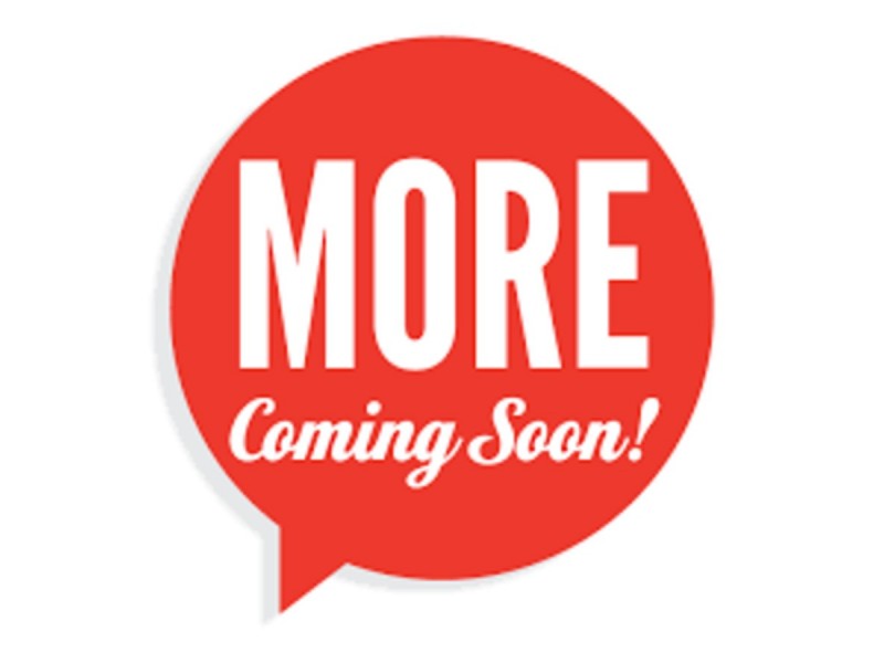 9 Dunwich Street, Cleveland QLD 4163