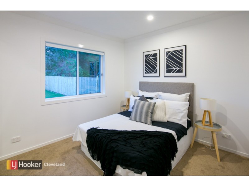 14 Claremont Street, Birkdale QLD 4159