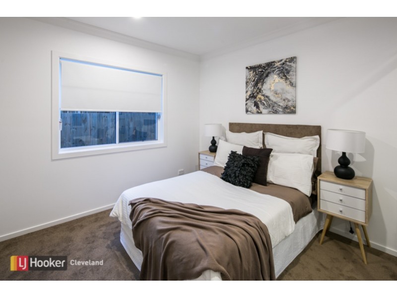 14 Claremont Street, Birkdale QLD 4159