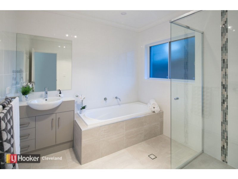 14 Claremont Street, Birkdale QLD 4159