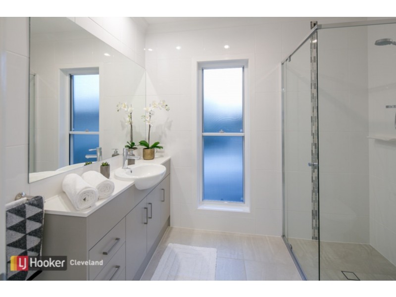 14 Claremont Street, Birkdale QLD 4159