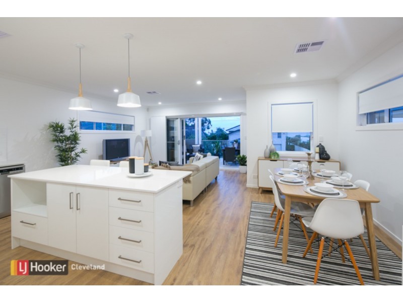14 Claremont Street, Birkdale QLD 4159