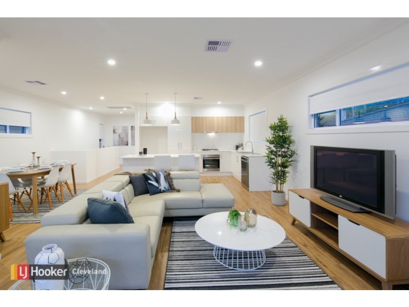 14 Claremont Street, Birkdale QLD 4159