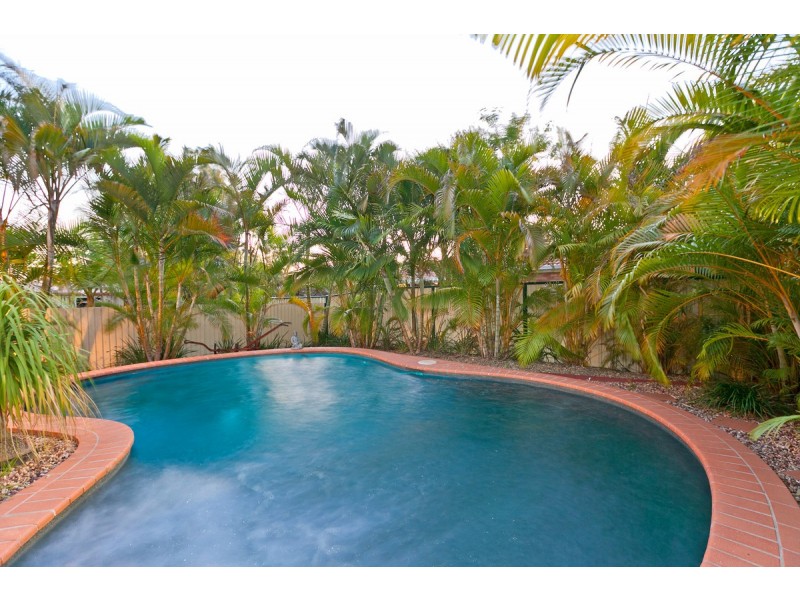 33 Long Street, Cleveland QLD 4163