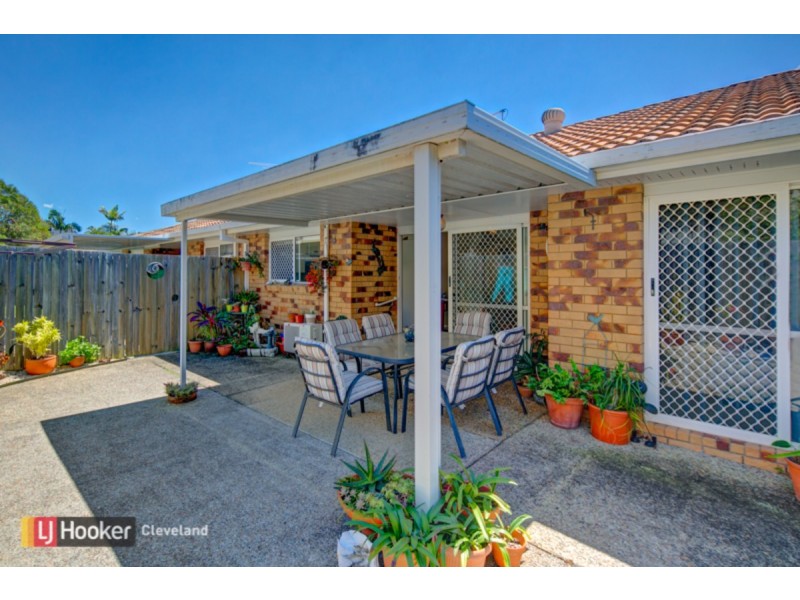 16/91 Wynyard Street, Cleveland QLD 4163