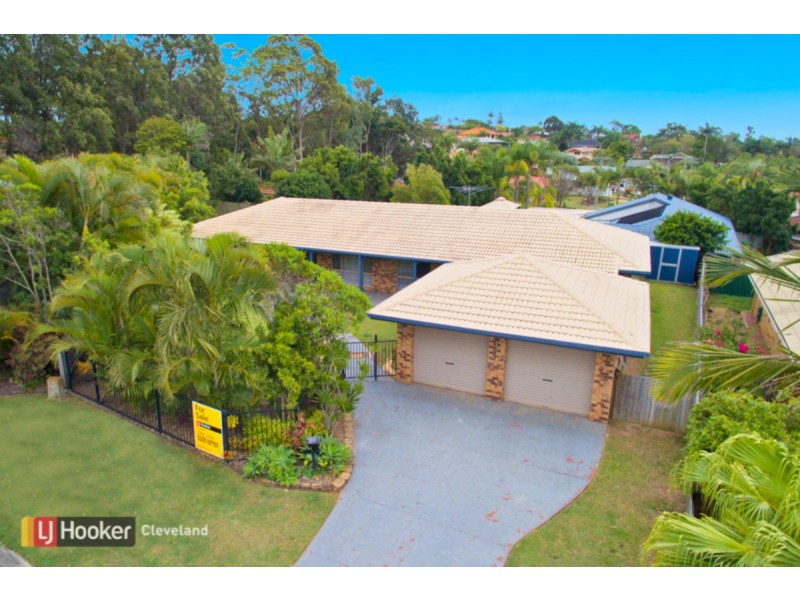 6 Lowrie Court, Cleveland QLD 4163