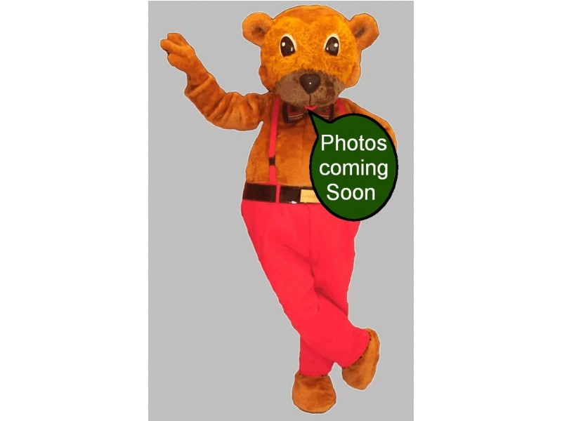 3 Ellabay Crescent, Redland Bay QLD 4165