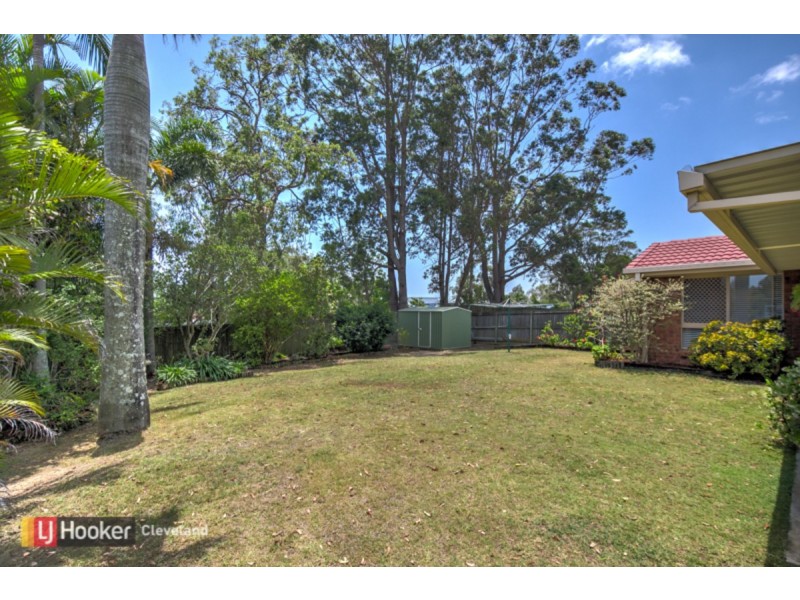103 Winchester Road, Alexandra Hills QLD 4161