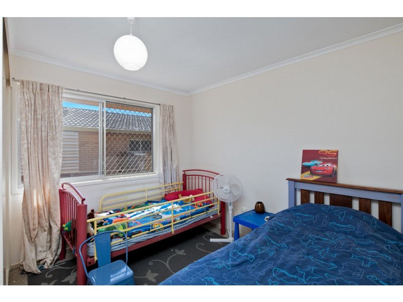 4 Michelle Court, Cleveland QLD 4163