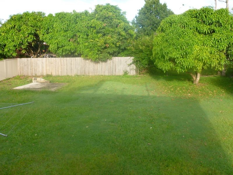 25 Parakeet Street, Birkdale QLD 4159