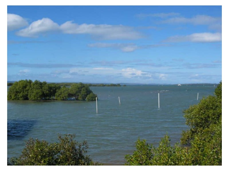 12-14 Wharf Street, Cleveland QLD 4163