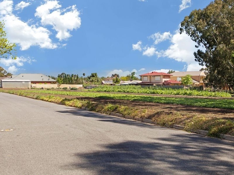 Proposed L Lamary Avenue, Paradise SA 5075