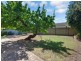 22 Bosanquet Avenue, Prospect SA 5082
