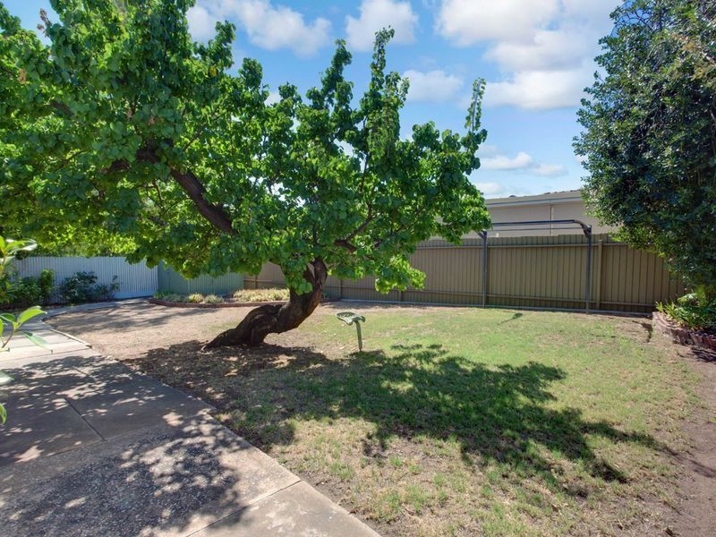 22 Bosanquet Avenue, Prospect SA 5082