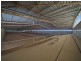 183 Dawkins Road, Lewiston SA 5501