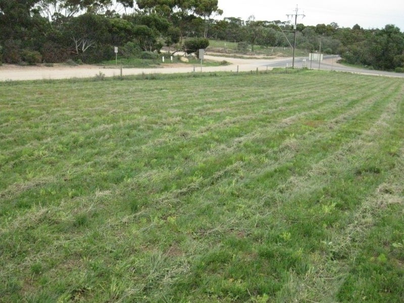 1/ Loddon Road, Murray Bridge SA 5253