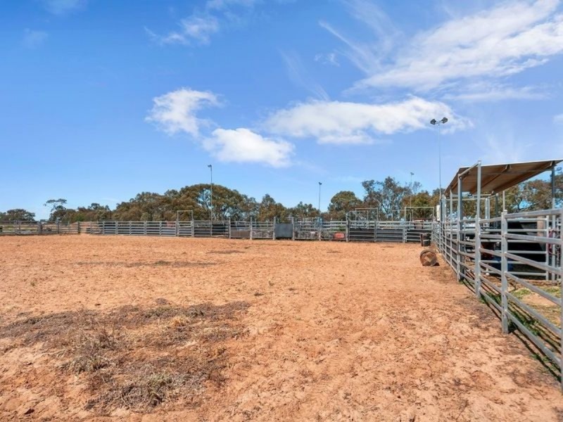 Lot 171 Rowe Road, Lower Light SA 5501