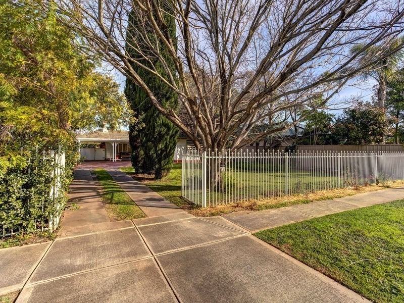11 McInnes Avenue, Broadview SA 5083