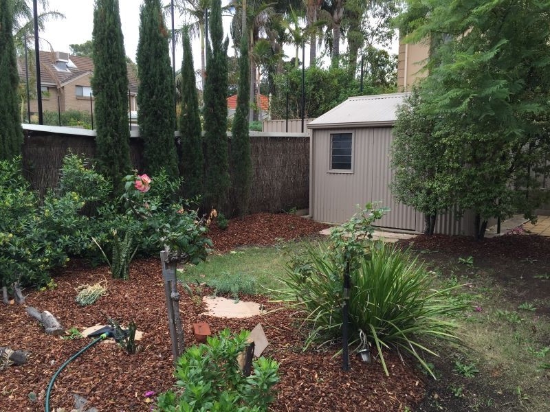 29a Brunswick Street, Walkerville SA 5081