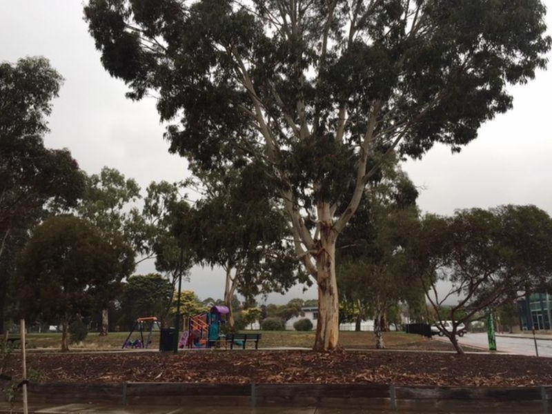 3a Kurrajong Place, Seacombe Gardens SA 5047