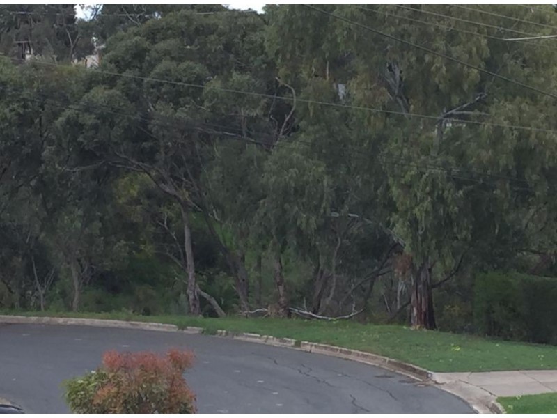 59 Marrett Drive, Ingle Farm SA 5098