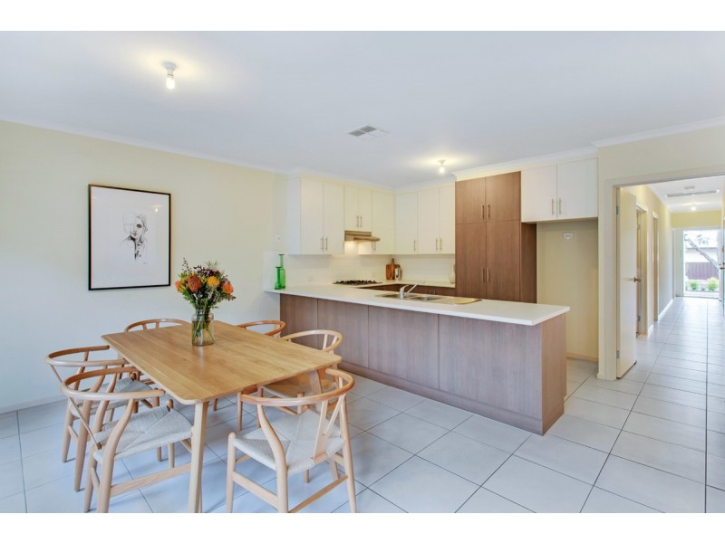 70 Lurline Avenue, Gilles Plains SA 5086