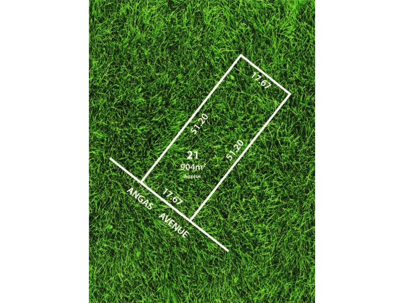 11 Angas Avenue, Vale Park SA 5081