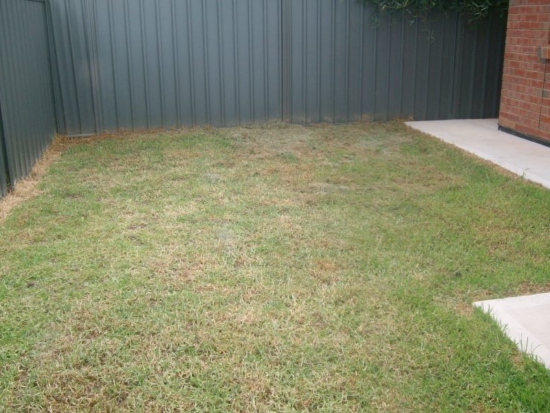 5 Minindee Avenue, Andrews Farm SA 5114