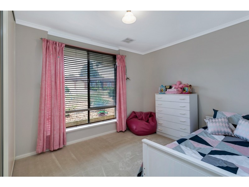 3 Bendigo Cresent, Modbury SA 5092