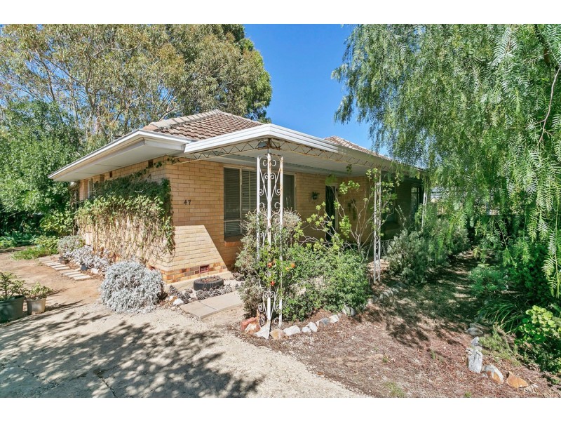 47 Ramsay Avenue, Hillcrest SA 5086